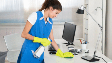 Why Residents Are Switching to Recurring House Cleaning and Pest Control Services: A Full Guide