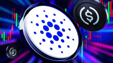 ADA Price USD Today: What’s Driving the Market Move?